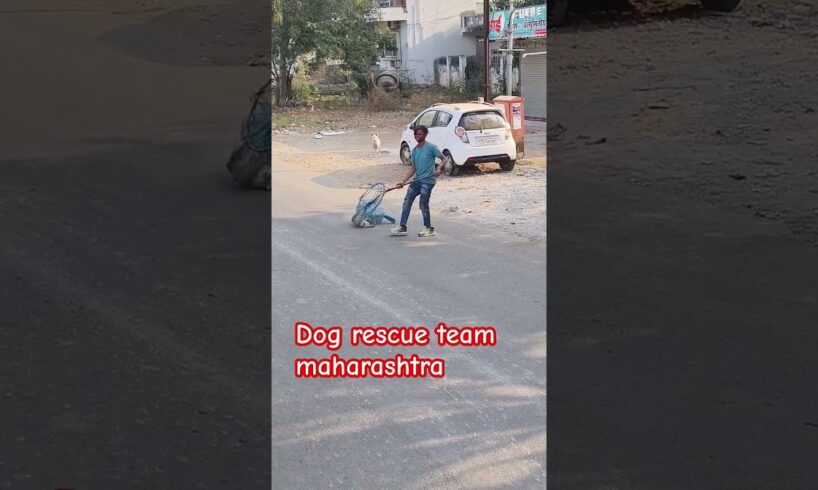 Dog rescue team maharashtra #dog #animal #rescue #animalrescue #streetdog #viralshort #rescuedog
