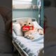 Dog saves a cat from a furious human being #shorts #shortsviral #dog