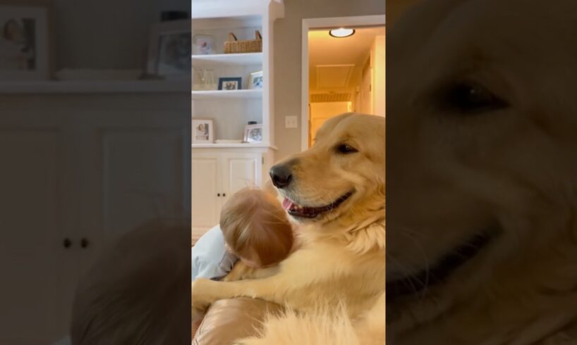 Dogs like to be with babies🥰🥰