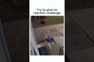 EPIC FAILS COMPILATION | Laugh Out Loud with the Best Fails of the Week!