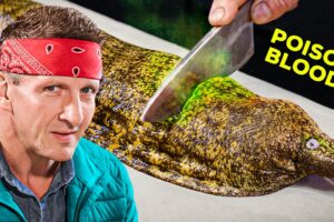Eating Japan's Most DANGEROUS Fish!! (Armageddon-Level Diarrhea)
