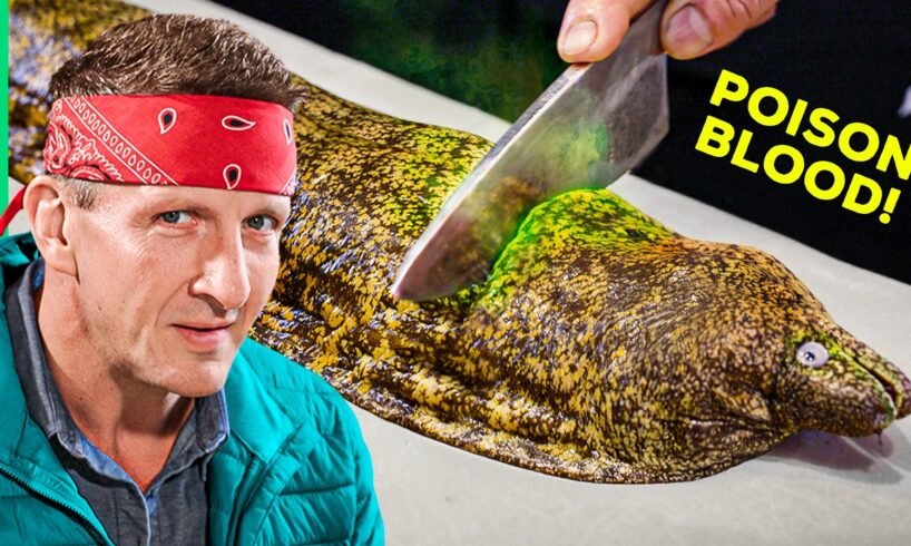 Eating Japan's Most DANGEROUS Fish!! (Armageddon-Level Diarrhea)
