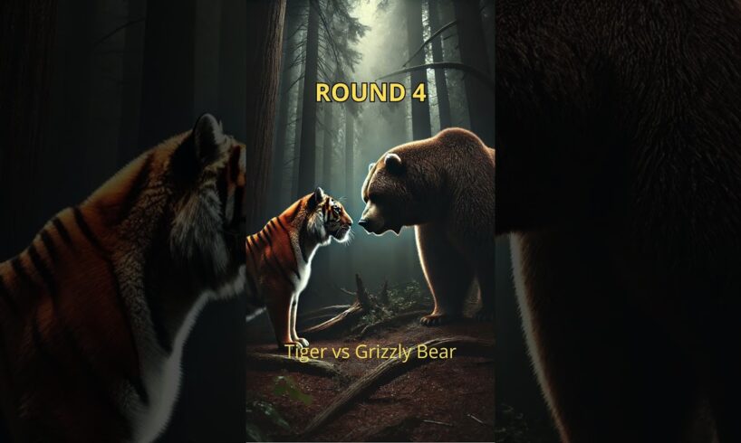 Epic Animal Fights: Who Would Win?