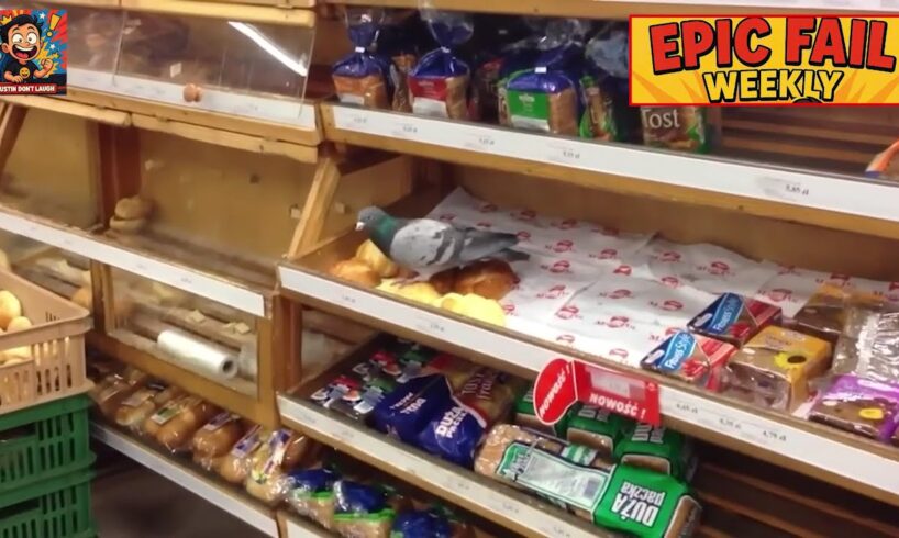 Epic Fail Of The Week – Top Funniest Pet Fails (Dogs and Cats Compilation)