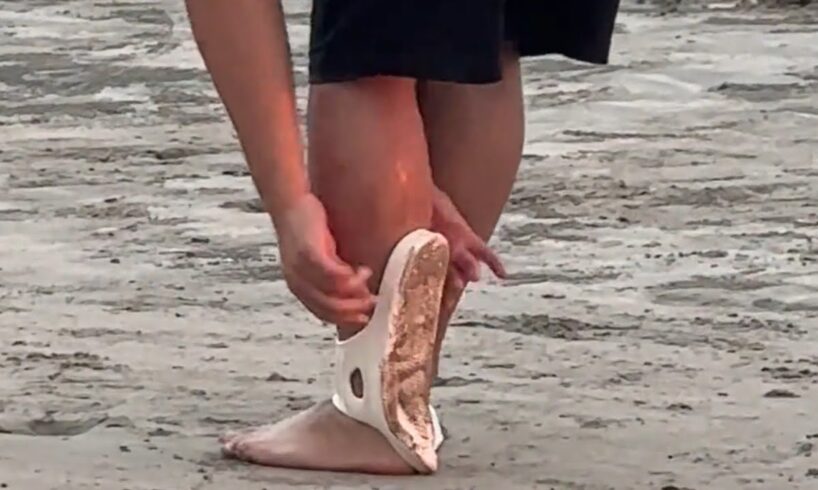 FAILS OF THE WEEK | try not to laugh impossible