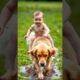Family's Guardian Angel Dog rescue #baby  #dog #shorts #cute "video content intended for Adults"