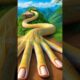 #FizziFactz #Shortsvideo #grwm #animals #watersnake #owl #snakevide #amazingsnake #dragonsnake