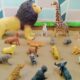 Forest Creatures Meet Farm & Pet Animals in the Sandbox | Learning & Playing