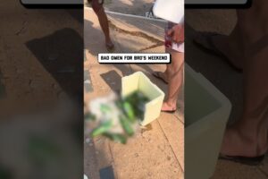 Funniest Fails this Week! 😂