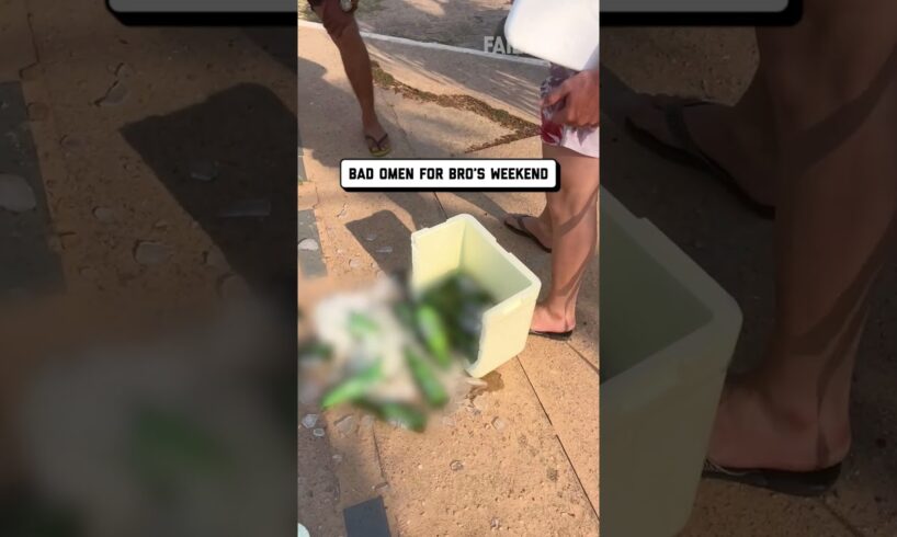 Funniest Fails this Week! 😂