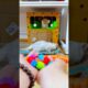 Funny cat playing video backwards.Interesting and lovely animal video #kitten #宠物 #funny