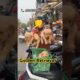 Golden Retriever puppies Labrador| #cute #pets #goldenretreiver #dog  #shortvideo #puppy #shorts