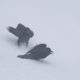Goofy Ravens Playing in the Snow