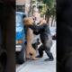 😱🦍Gorilla Vs Lion Brutal Road Fight #animals #animal #short #shortvideo #wildlife #gorillatag #lion