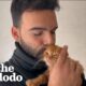 Guy Rescues A Stray Cat Every Time He Leaves The House | The Dodo