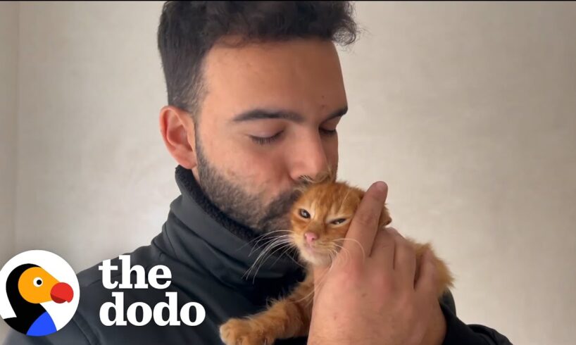 Guy Rescues A Stray Cat Every Time He Leaves The House | The Dodo