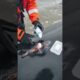 Heartwarming Orca Whale Rescue You Have to See to Believe #shorts