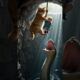 Heroic Cat Rescues Baby from Snake in Well | cat videos | snake #catvideos #funnycats #snake #funny