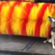 Hilarious Animal Videos to Make You Laugh | Funny Dog & Cat Videos