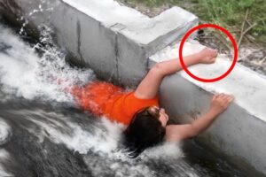 How Are They Still Alive?! Luckiest People Ever Caught on Camera!