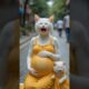 How a Cute Baby Cat Help Pregnant Mom Cat #animalrescue #cuteanimals #wildliferescue