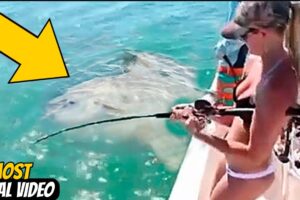 Incredible Fishing Incidents Caught On Camera
