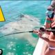 Incredible Fishing Incidents Caught On Camera