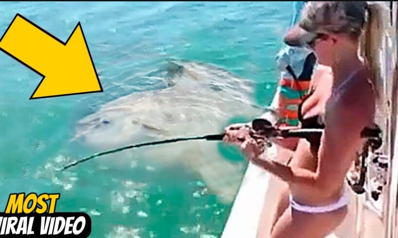 Incredible Fishing Incidents Caught On Camera