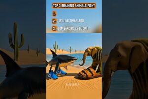 Italian Brainrot Animals Top 3 Crazy Fights #italianbrainrot #brainrotenergy #shrots