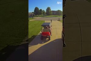 Keep those cameras on, folks! 🤣 #afv #fail #funny
