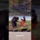 Kung-Fu bear gets in a fight with human //  #shorts #short #memes