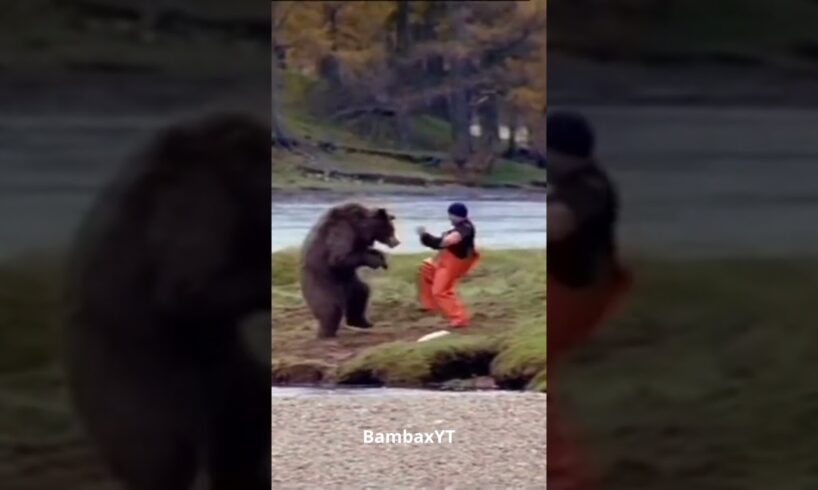 Kung-Fu bear gets in a fight with human //  #shorts #short #memes