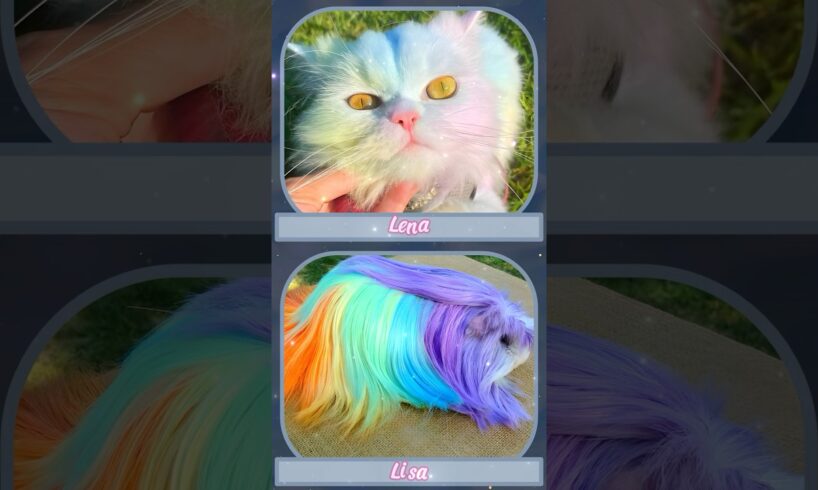 LISA OR LENA - CUTE ANIMALS #lisaandlena #lisaorlena #fashion #shorts #cute #animals #animal #fyp