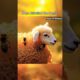 Lamb Attacked By Killer Bees #ai #shorts #trending #rescue #kidsshorts #humanity #shortsfeed