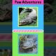 Let’s play! Wild and Wonderful Animals Can You Guess Them