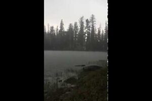 Lightning Strikes Family, Injures Father and Children