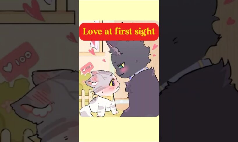 Love at first sight. #cat #dog  #animals #animation