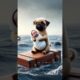 Lovely baby met a plane crash,poor pug rescued him#story #cute #cuteanimals #animals #lover #rescue