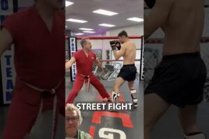 MMA vs. Street Fight #masterken #mma #martialarts