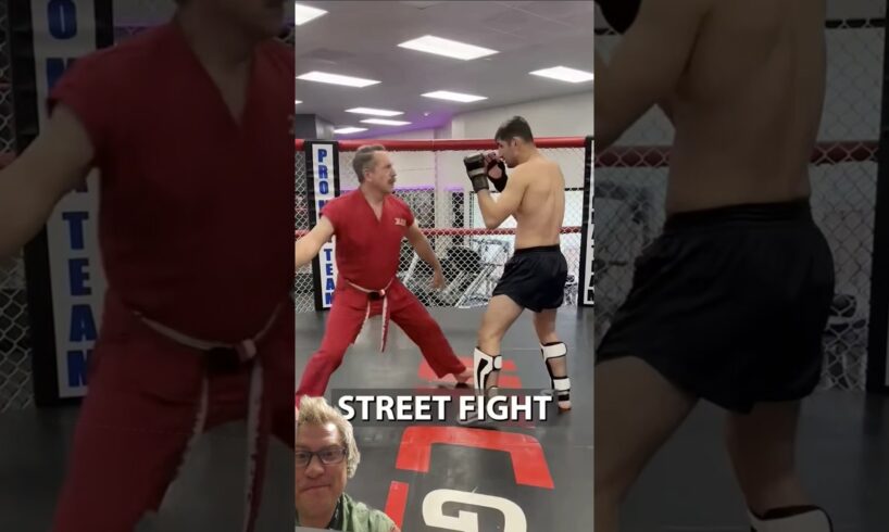 MMA vs. Street Fight #masterken #mma #martialarts