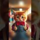 Meow Meow has a bully... #meow #cat #funny #animals #cats #kitten  #unstoppable