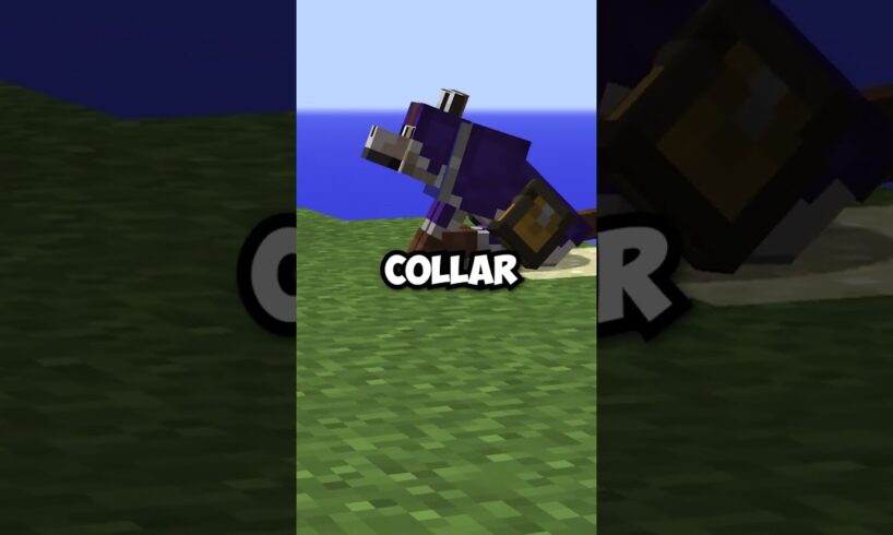Minecraft Wolves Are Now 97% Better!