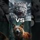 Most Brutal Animal Fights Ever Caught on Video #AnimalFights #PredatorVsPredator #Shorts