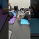 One puppy nailed the chill vibes, the other’s running laps—classic yoga moods! Which one are you?