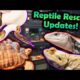 Our Newly-Updated Reptile Rescue!