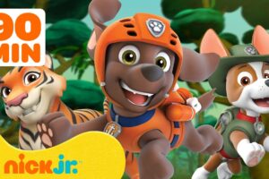 PAW Patrol Baby Animals Rescues! w/ Zuma & Tracker #7 🐯 90 Minutes | Nick Jr.