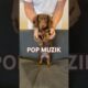 PUPPY POP MUZIK #minidachshund #puppy #dance #dachshundpuppy #sausagedog #cutepuppy #funnypuppy #dog