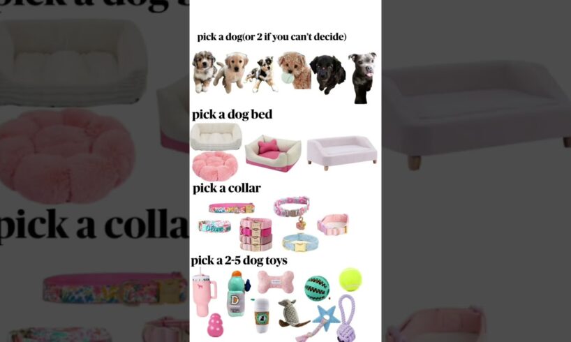 Pick Your Puppy!! #foryou #cute #puppies #pink