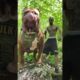 🐶 Pitbull, Rottweiler, and K9: From Puppies to Giants 🚀 | Amazing Transformation!