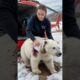 Polar Bear Trapped in Ice Hole Gets Rescued by Brave Team 🐻‍❄️❄️❤️ #shorts #animalrescue #polarbear